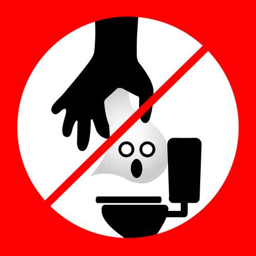 No Flushing Wipes