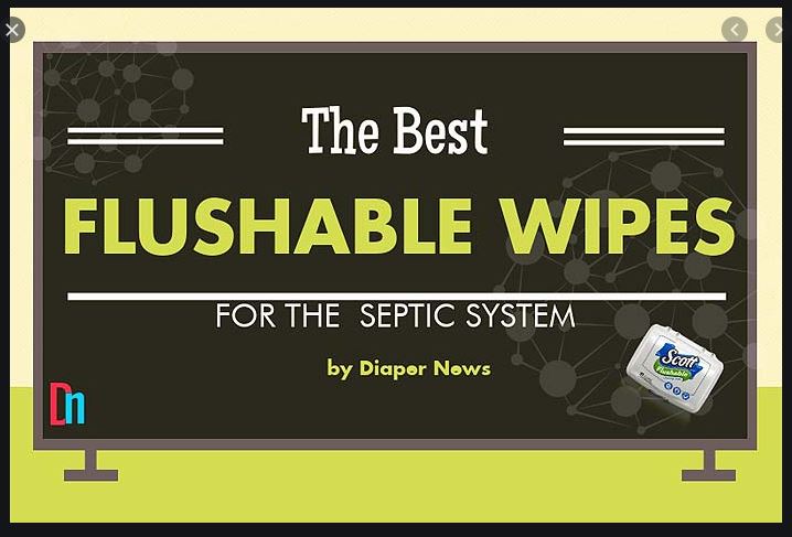 septic safe flush