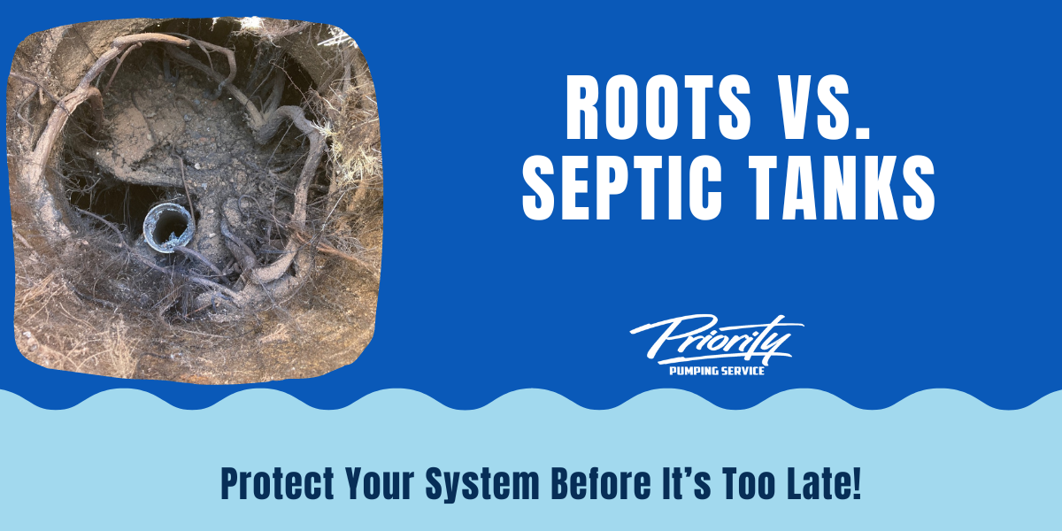 Roots VS. Septic Tanks