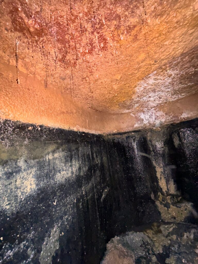Septic System Needs Alteration scaled