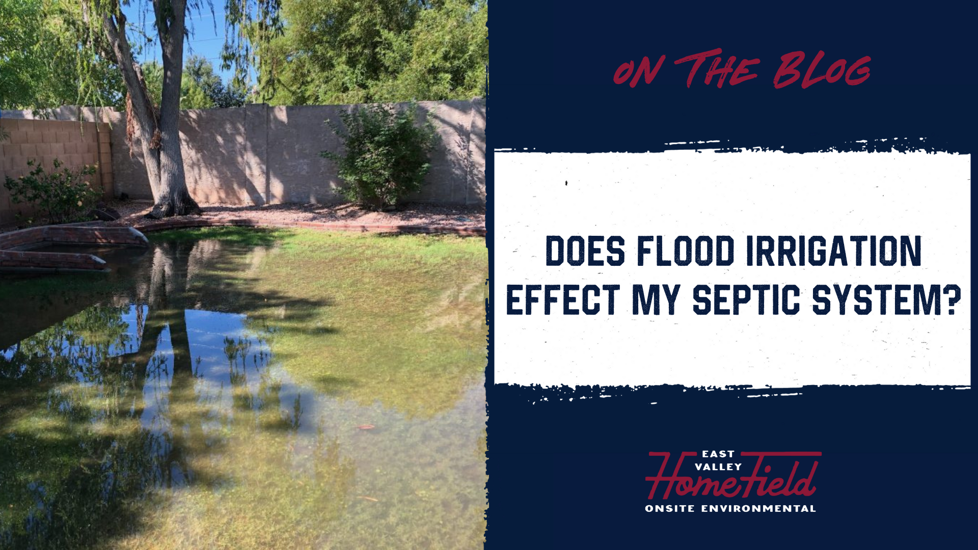 Flood Irrigation on Septic in Arizona